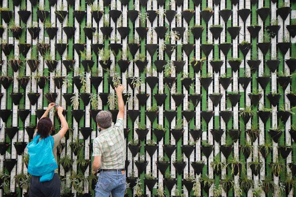 Italia a tutto green: 8 italiani su 10 sempre più interessati alla sostenibilità