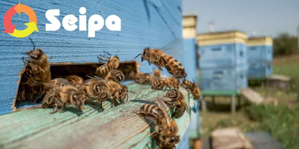 API, BIODIVERSITÀ E CANTIERI, SEIPA: LA SOSTENIBILITÀ PASSA ANCHE DAGLI IMPOLLINATORI